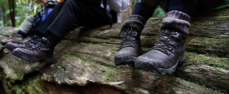 tarkine-wilderness-walking-tour-01 | Park Trek Tarkine Wilderness 5 Day Walking Tour