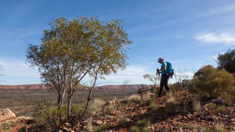 Woman walking in central Australia