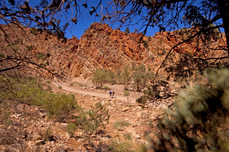Flinders Ranges Walking Tour with Park Trek - Hikers making their way along the hiking trail