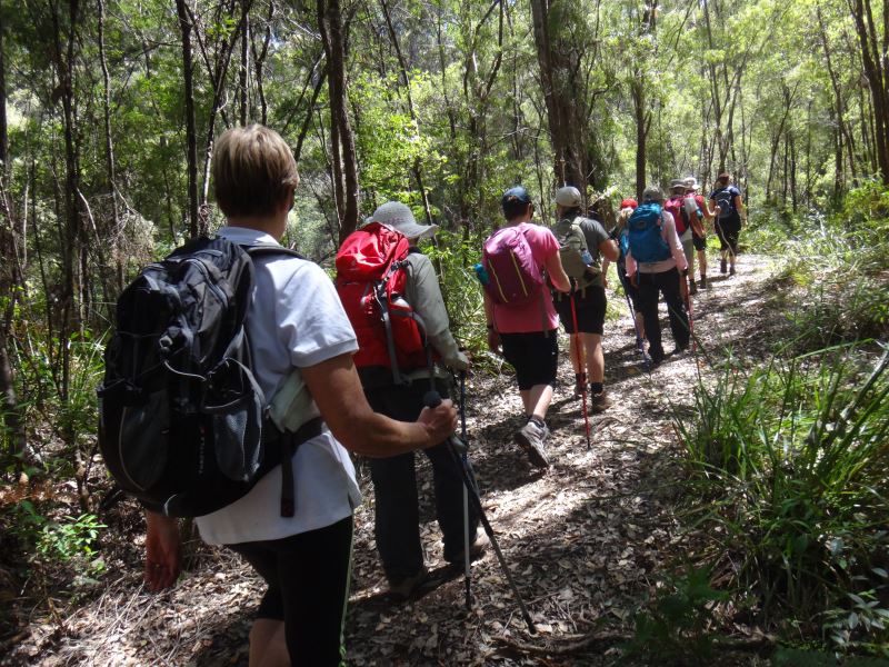 Bibbulmun Walking Track - Hikers walking through the bush