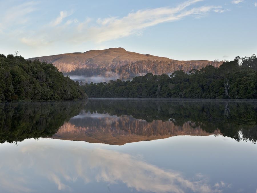 Tarkine Wilderness Walking Tour | Park Trek Tarkine Wilderness Walking Tour