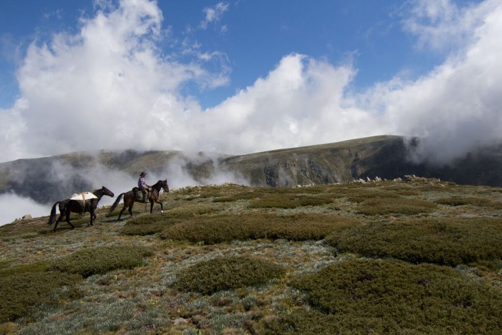 horse and clouds