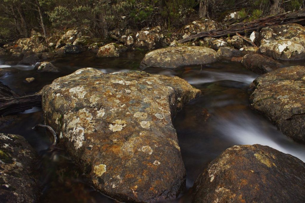 rocky stream - South West Wilderness walk