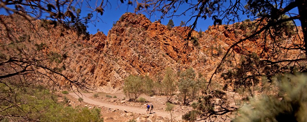 112794_flinderscropped | Park Trek Hiking in the Flinders Ranges