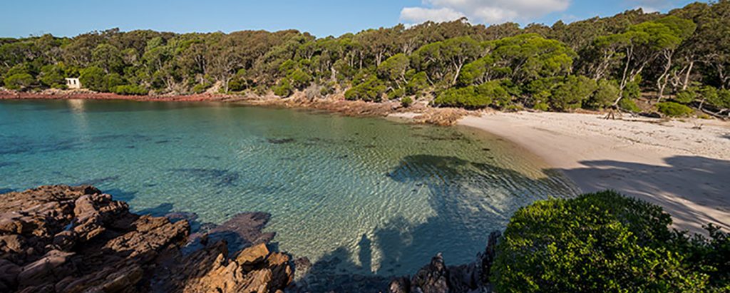 Bittangabee-bay_cropped | Park Trek Walking in Ben Boyd National Park