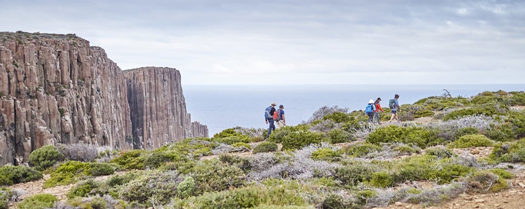 Cape Raoul Walk P1045394_cropped | Park Trek