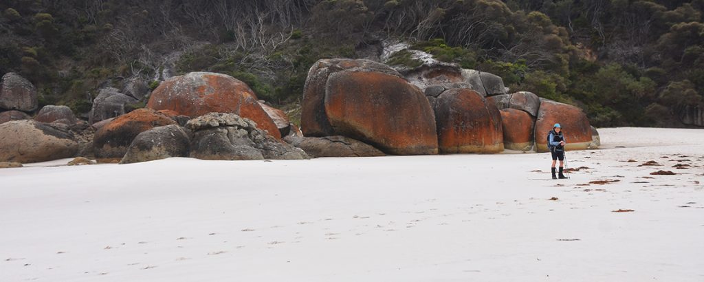 Park trek 7_promcropped | Park Trek Hike to pristine beaches at Wilsons Prom