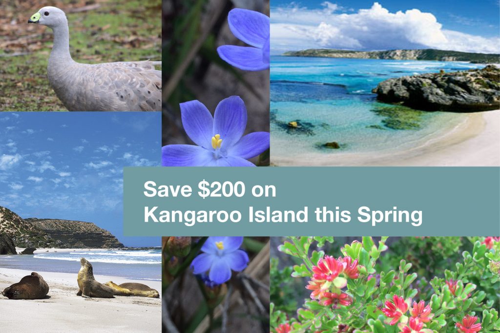 KI_emailimages_200off3 | Park Trek