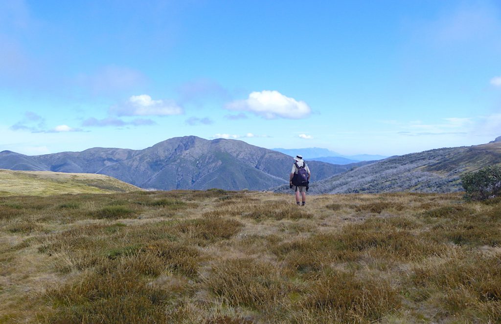 Looking across to Mt Feathertop