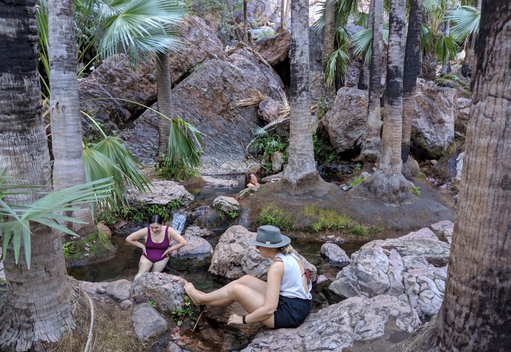 Kimberley_zebedeesprings_girlsinpool_Katriwerner_nocredit | Park Trek