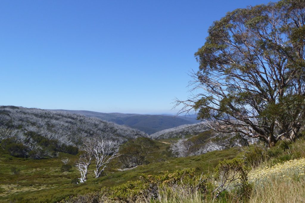 vicalps_nearcopehut_sb | Park Trek