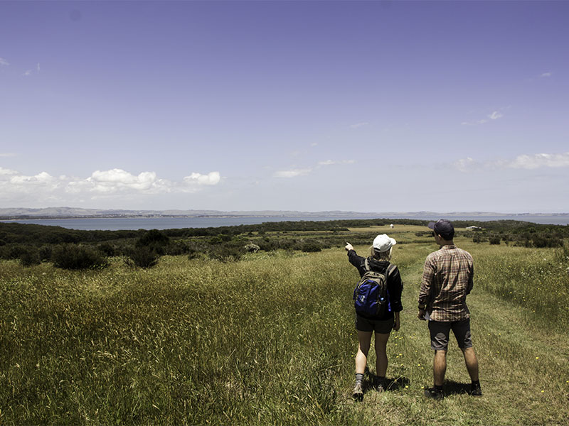 French Island | Park Trek Day walking on French Island