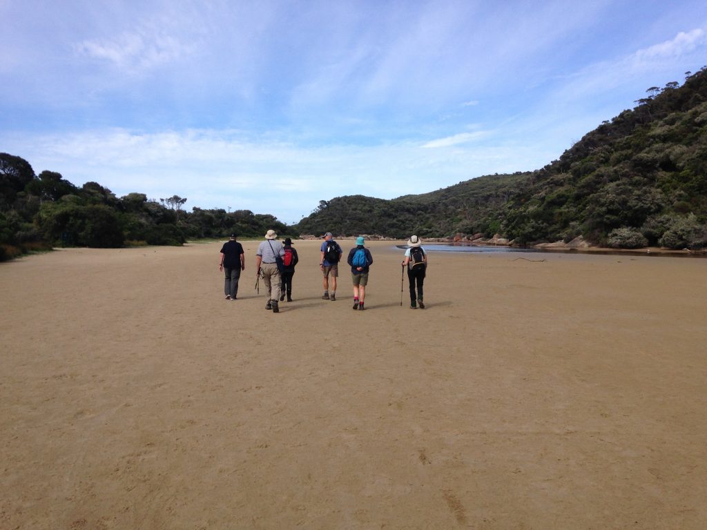 Park-Trek-1 | Park Trek