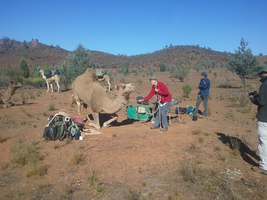 guest-with-camel | Park Trek