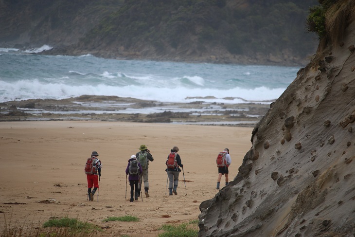 GOW-walkers-on-beach-small-2 | Park Trek Great Ocean Walk walking tour - walkers on beach