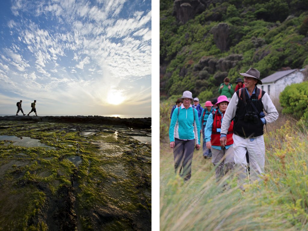 GOW_walkshots | Park Trek Great Ocean Walk walking tour - walkers