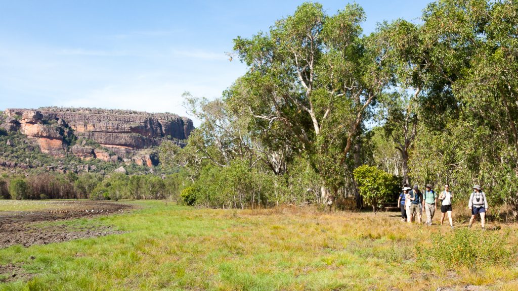 37c21605-6c83-401f-a893-459e658aa999 | Park Trek