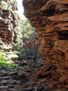 Arkaroola_alligatorgorge_rocks_Katriwerner_nocredit | Park Trek