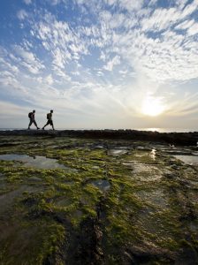 Couple hiking on the Great Ocean Walk | Park Trek