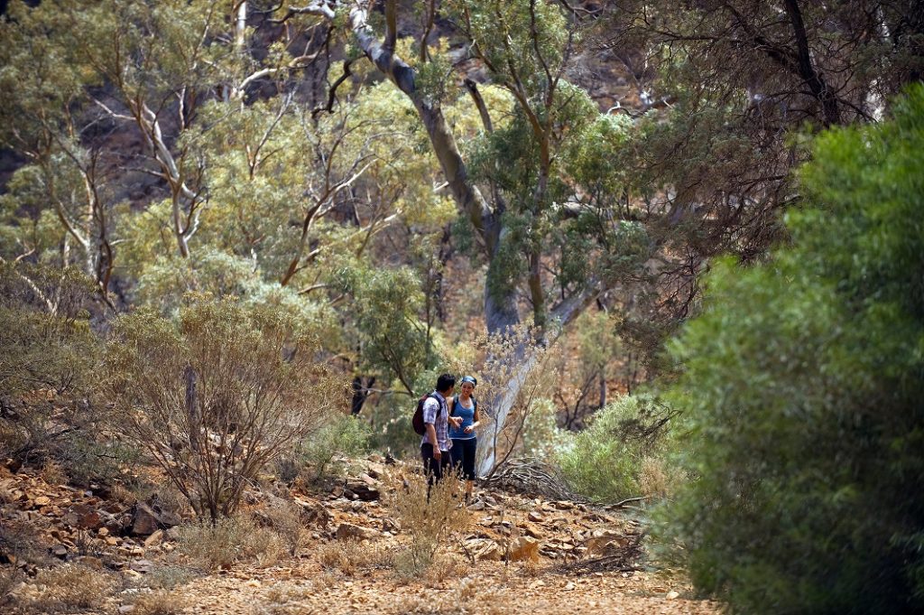 0d9f3df5-2049-4a66-833e-73e722173ec2 | Park Trek Daylesford Goldfields Track walking tour