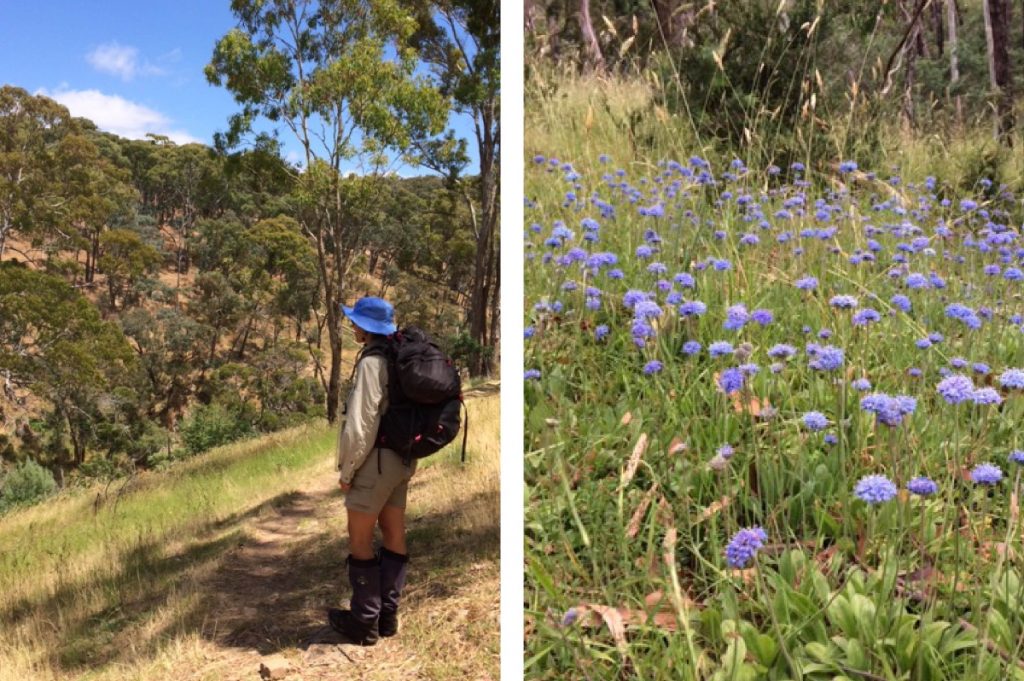 f4958713-7a92-4415-a7e0-a1ba115c636d | Park Trek