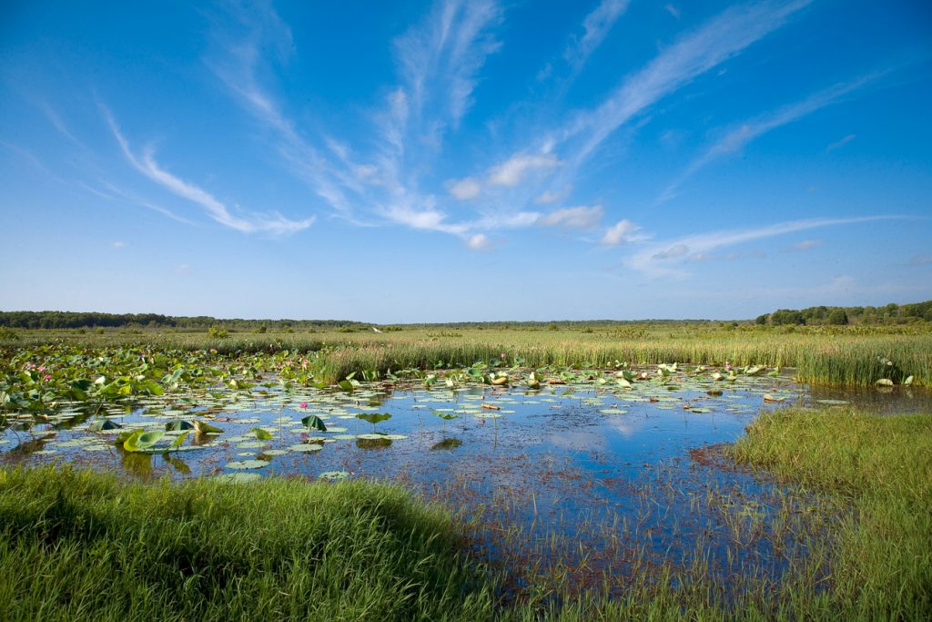 Billabong | Park Trek Billabong Northern Territory walking tours with park trek