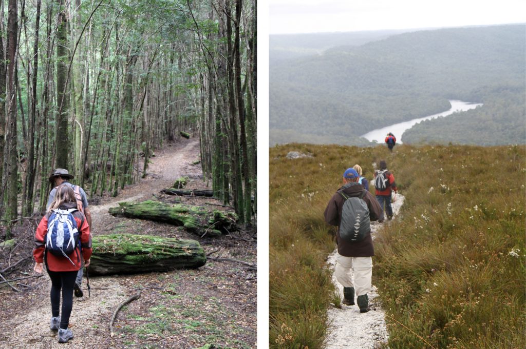 tarkinepic1 | Park Trek walkers - autumn in the tarkine - park trek walking tours Tasmania