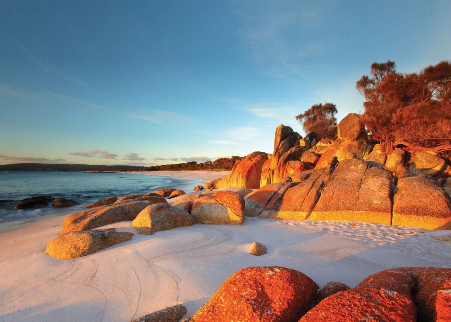 Bay of Fires 1 | Park Trek Bay of Fires Hiking Tour, Tasmanian Walking Co
