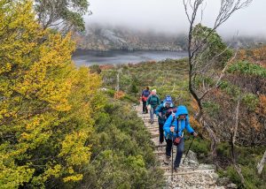Cradle Mountain Tour Group, Tasmanian Walking Co