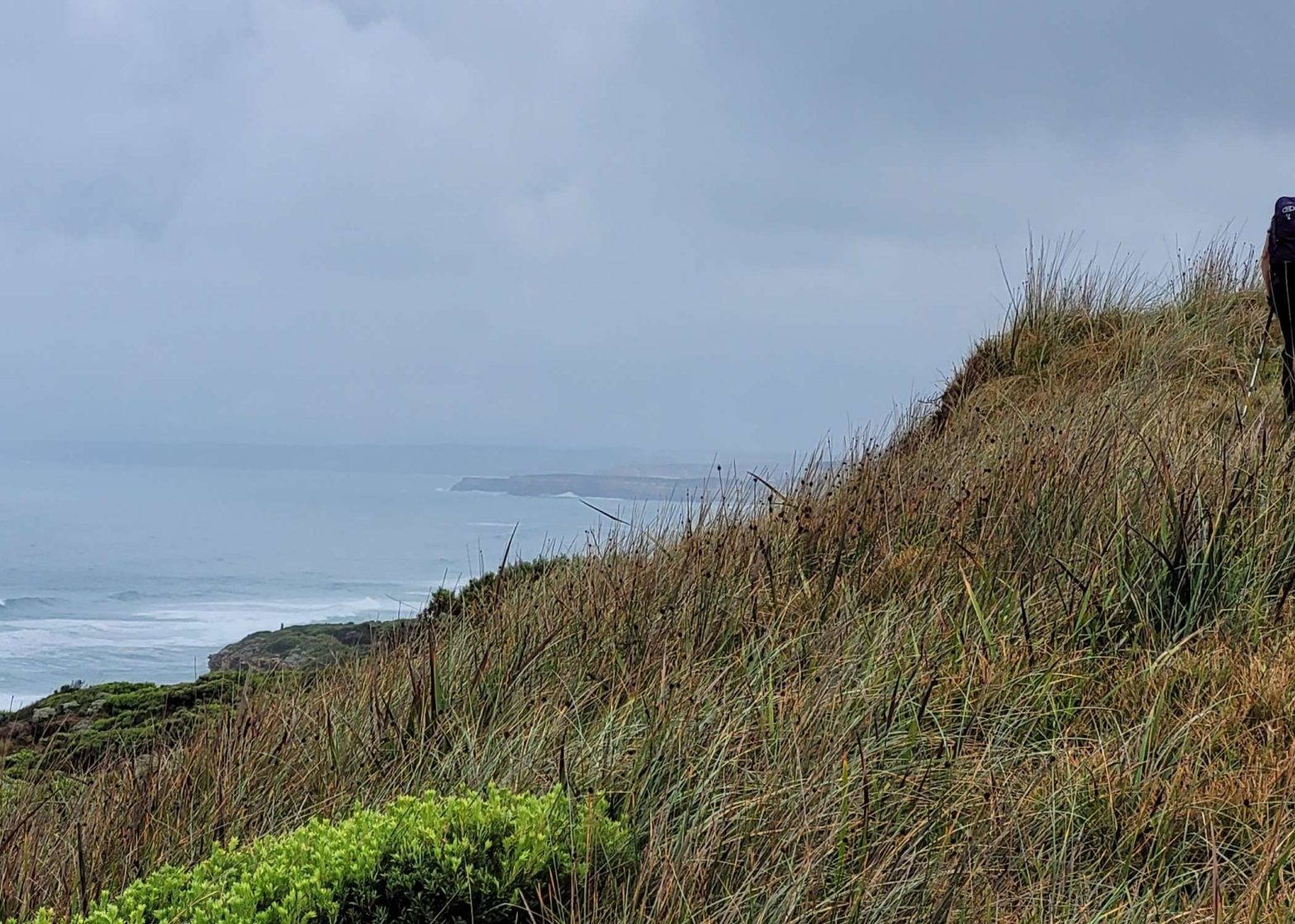 Great Ocean Walk 4 | Park Trek Great Ocean Road Walking Tour, Guided Treks Victoria