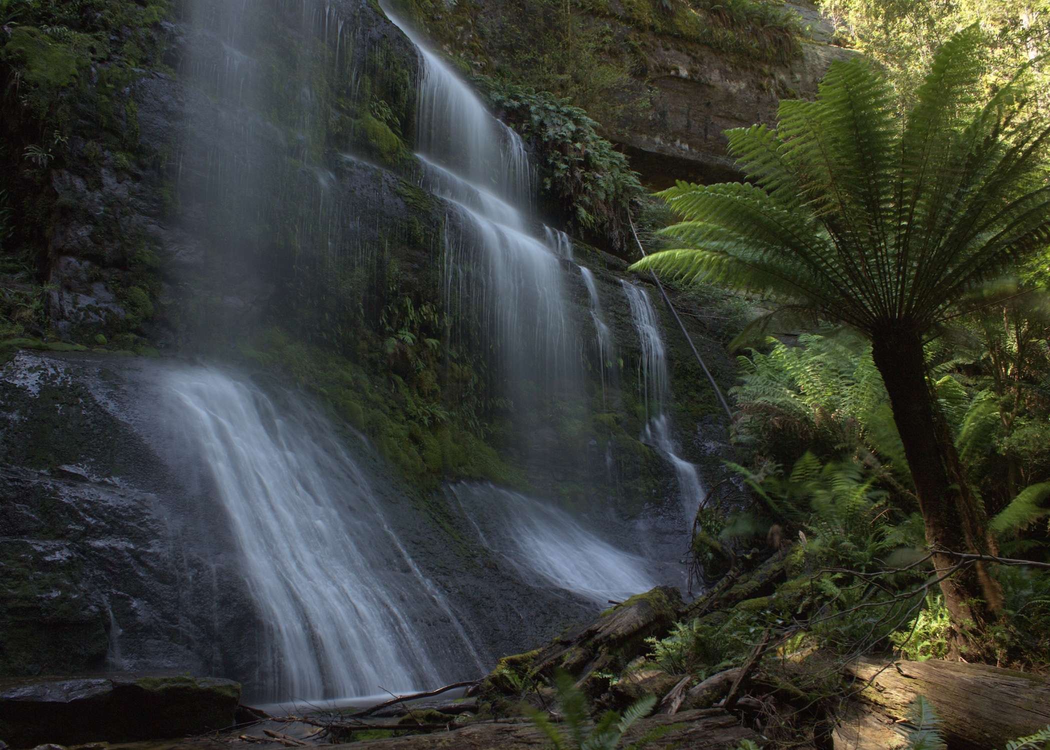 South West and Mount Field Hiking Tour