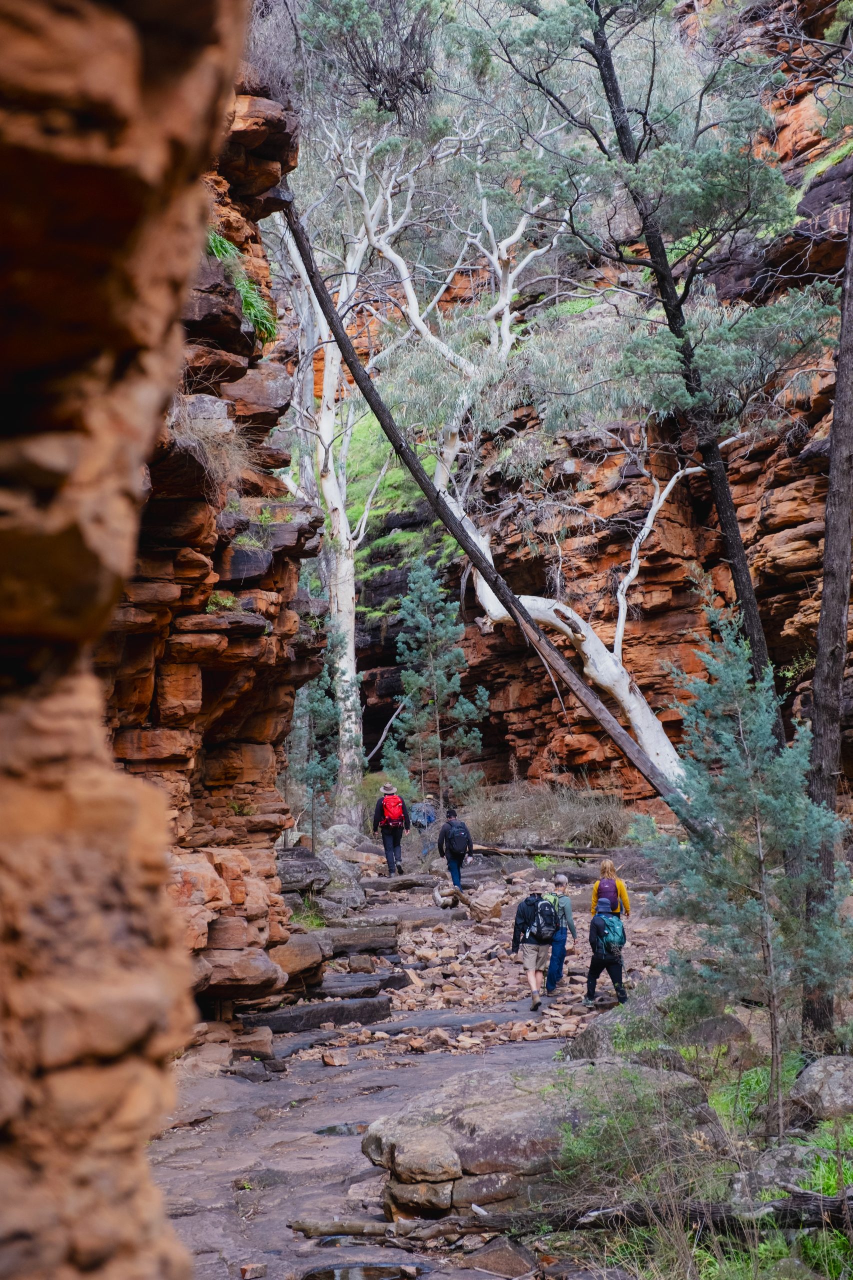 Flinders Sept 23 - G