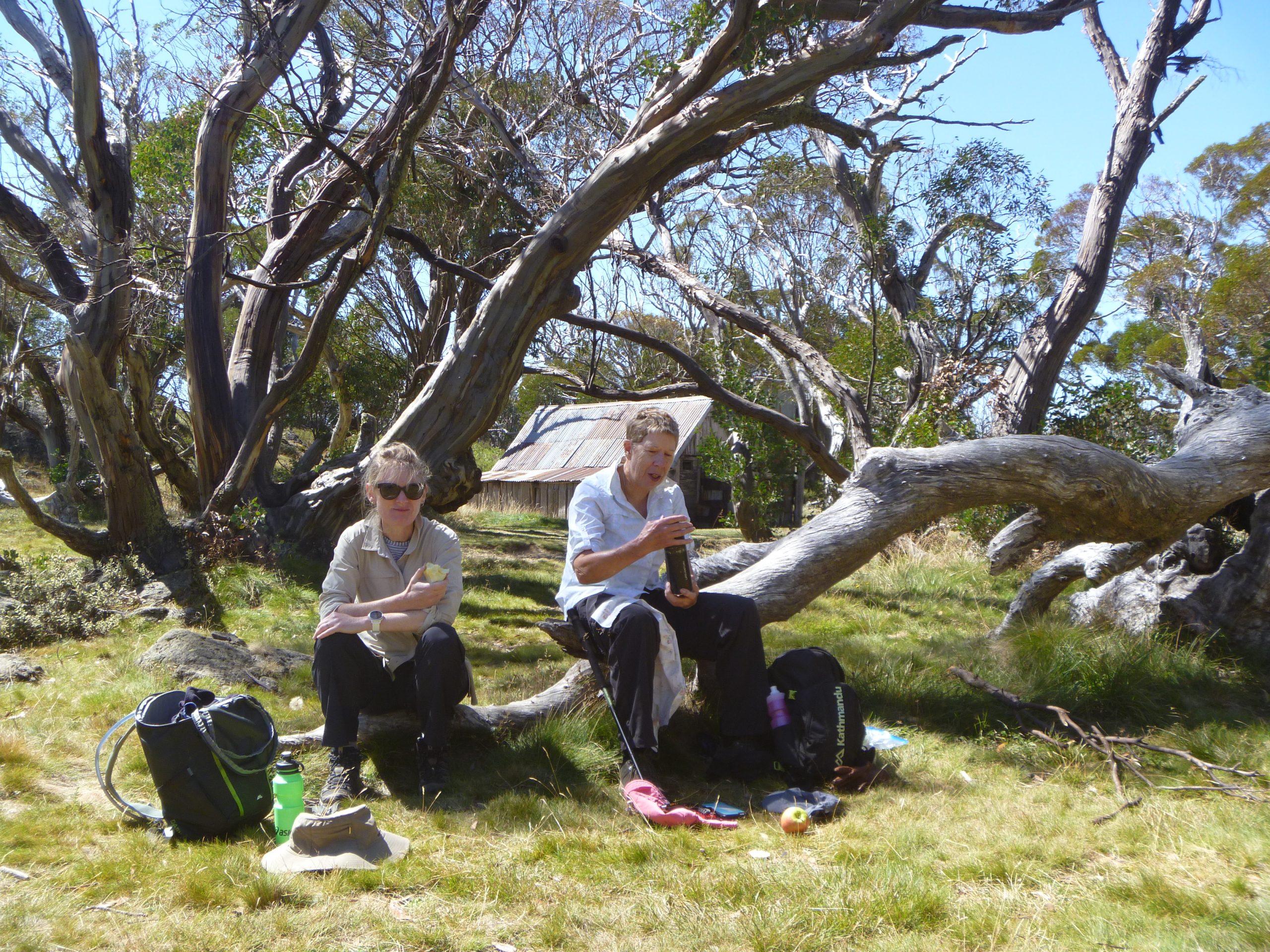 Vic Alps Highlights Sept 23