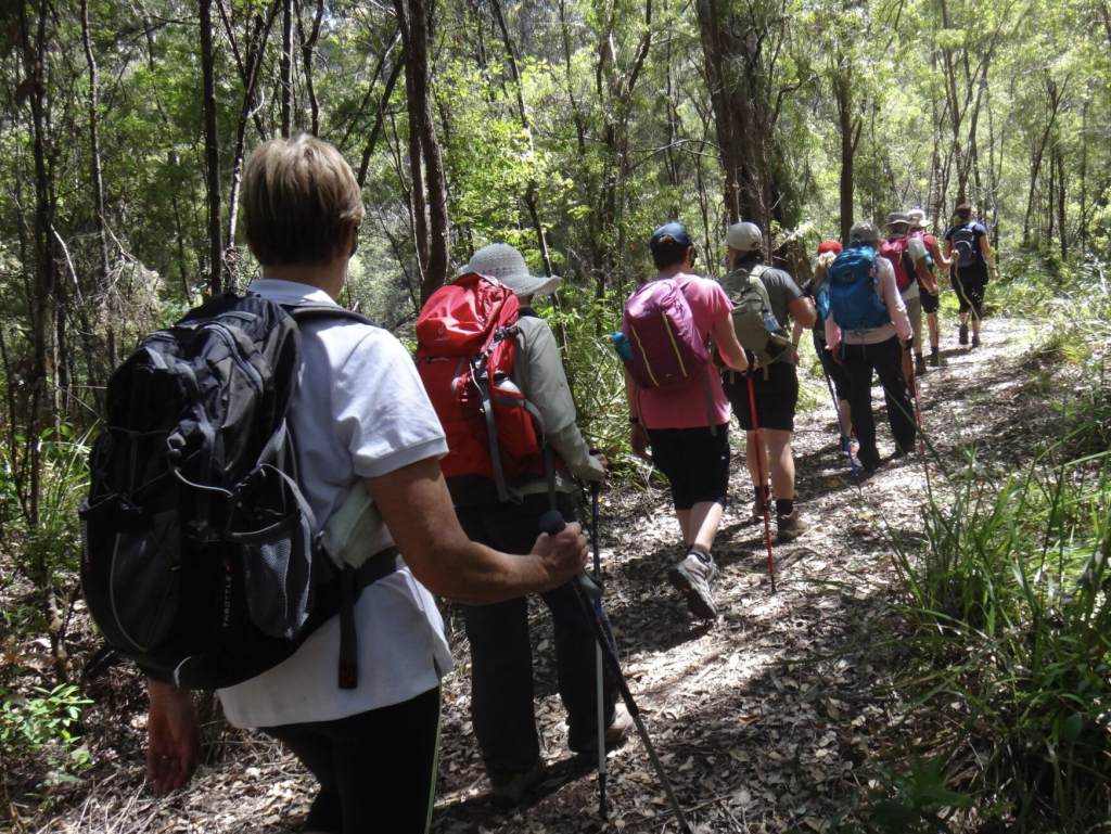 Screen-Shot-2024-03-22-at-1.49.50-pm | Park Trek