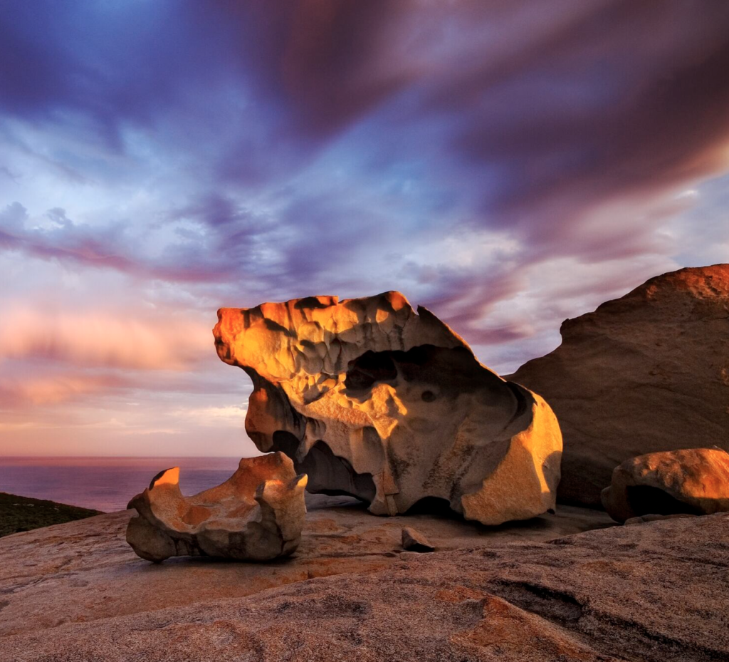 Screen-Shot-2024-03-22-at-1.52.27-pm | Park Trek