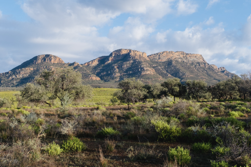 Screen-Shot-2024-03-28-at-12.13.33-pm | Park Trek