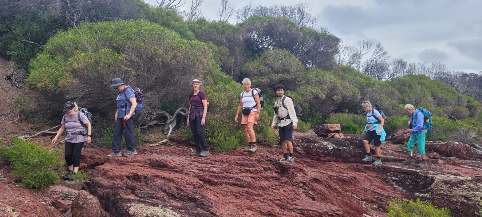 happy walkers light to light