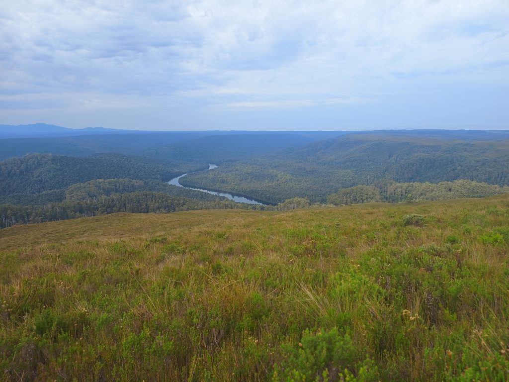 IMG_20240311_104853833 | Park Trek Tarkine Views - A Unique Wilderness