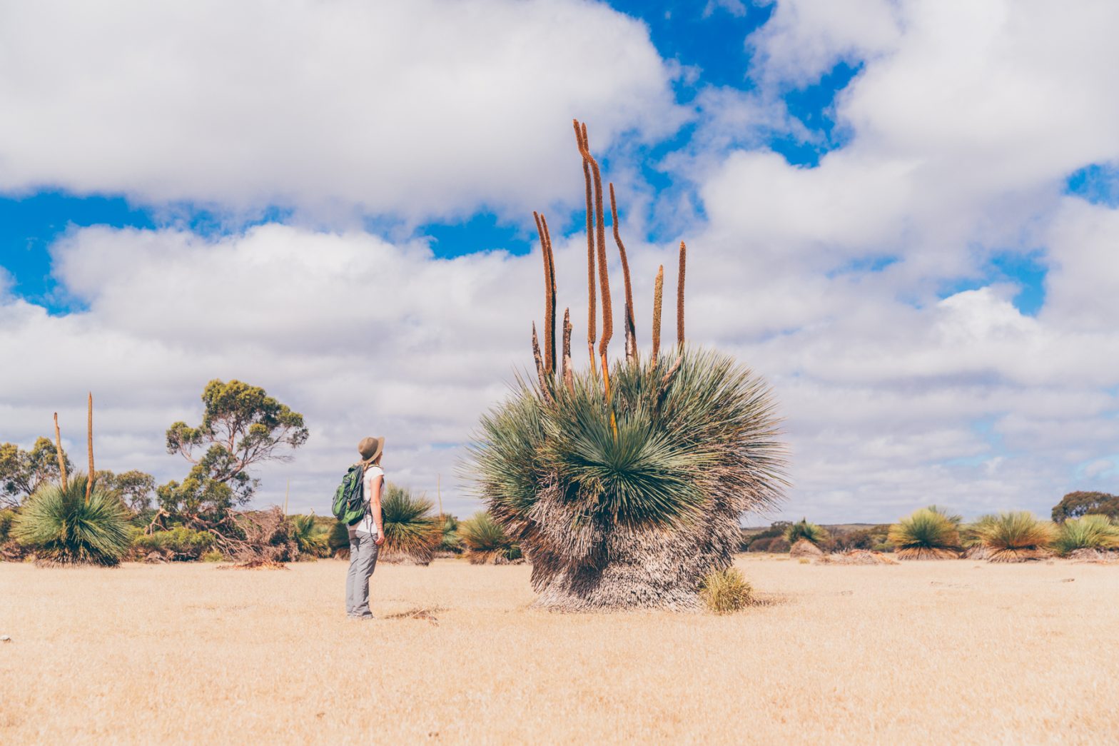 Low-Res-0383 | Park Trek