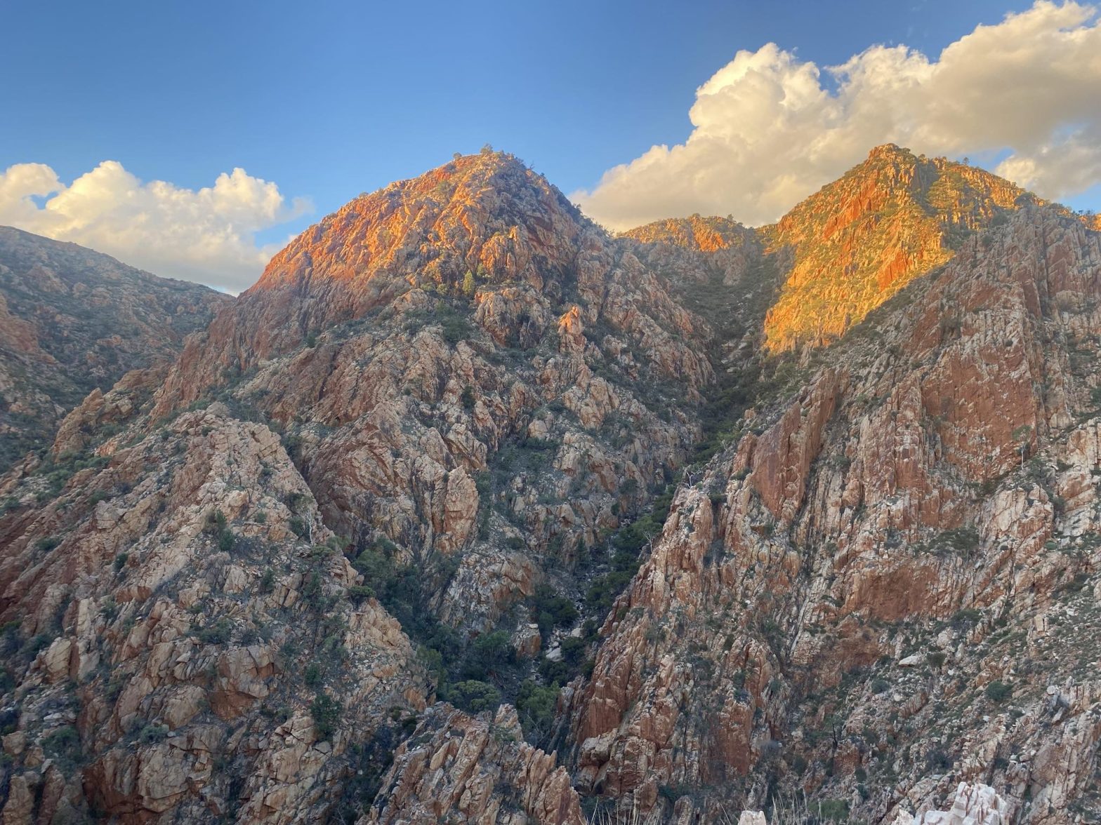 IMG_3175 | Park Trek