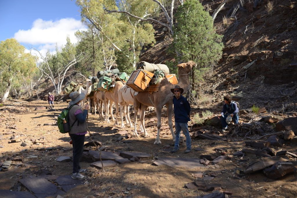 (c)crthompson_fitzroy_australia | Park Trek
