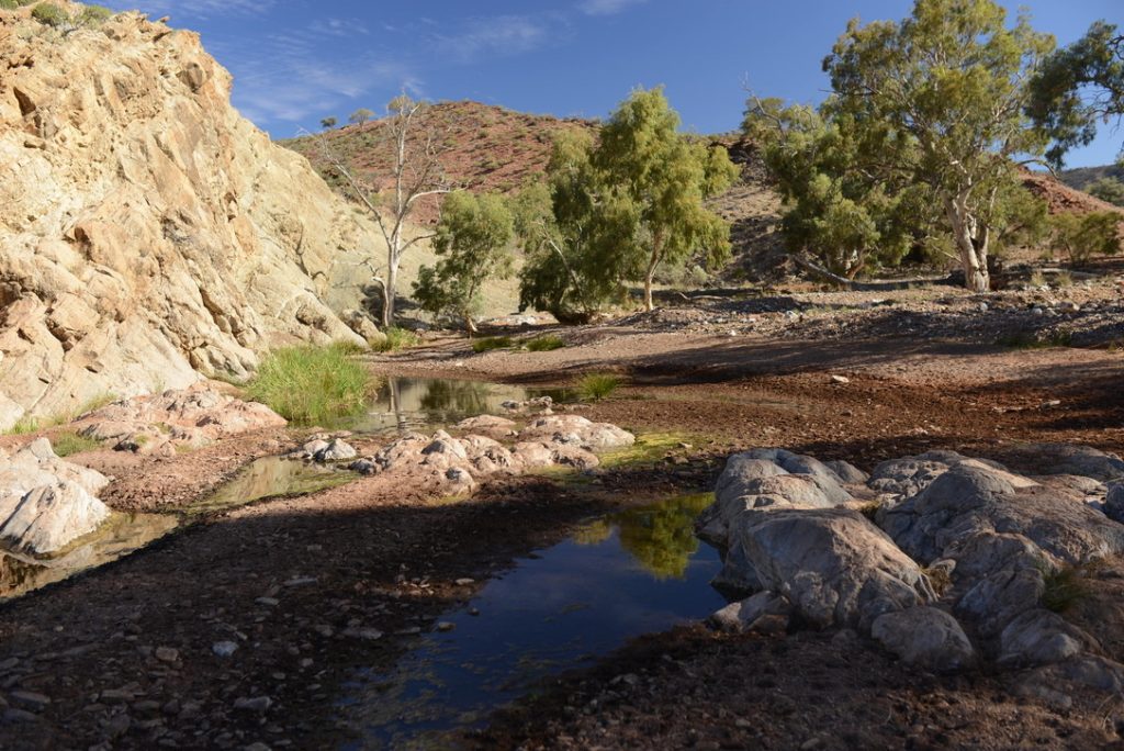 (c)crthompson_fitzroy_australia | Park Trek