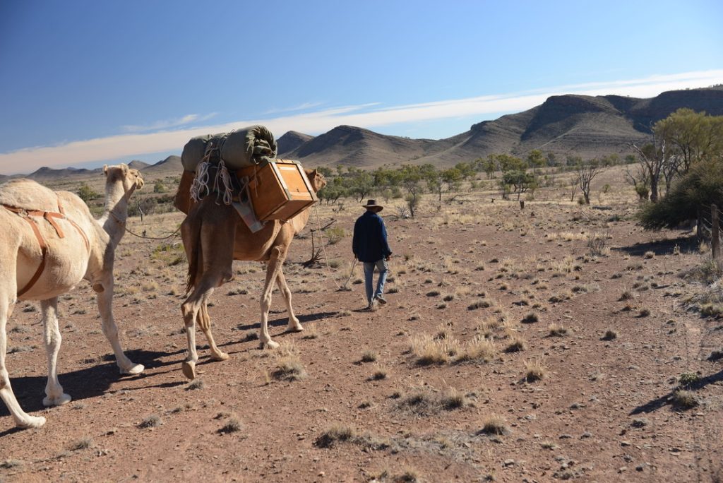(c)crthompson_fitzroy_australia | Park Trek