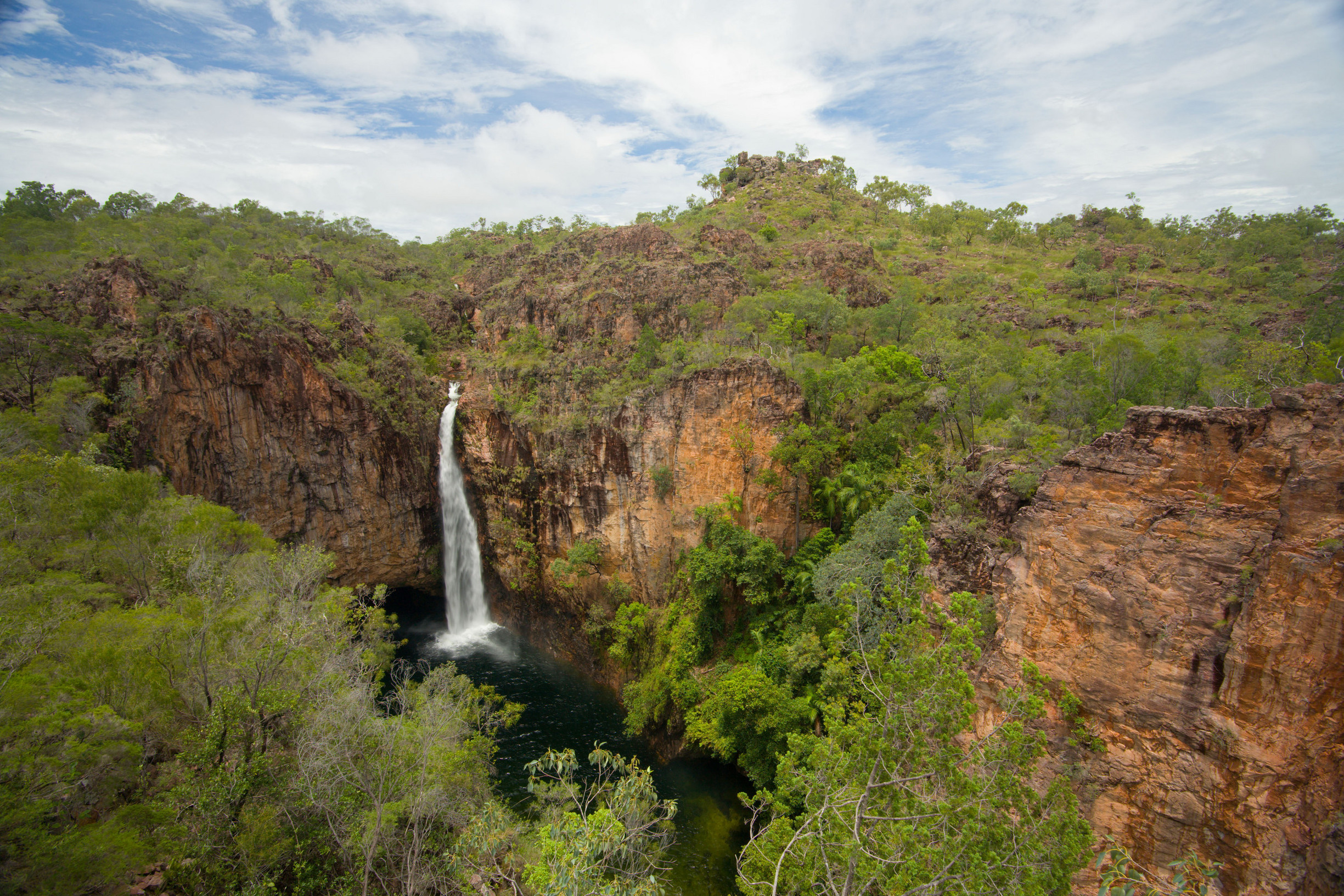 Kakadu