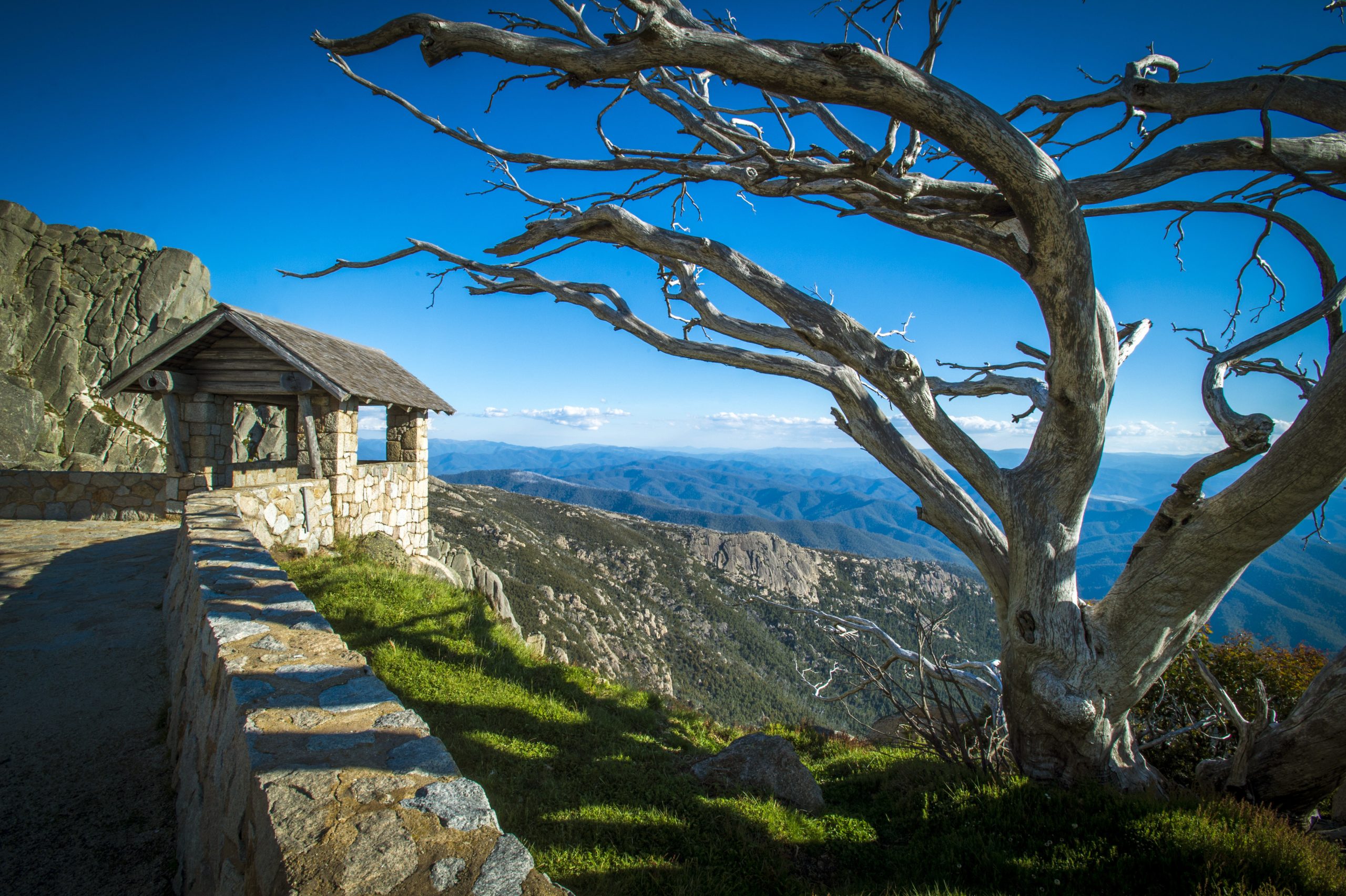 Victorian Alps is the holiday you never knew you needed