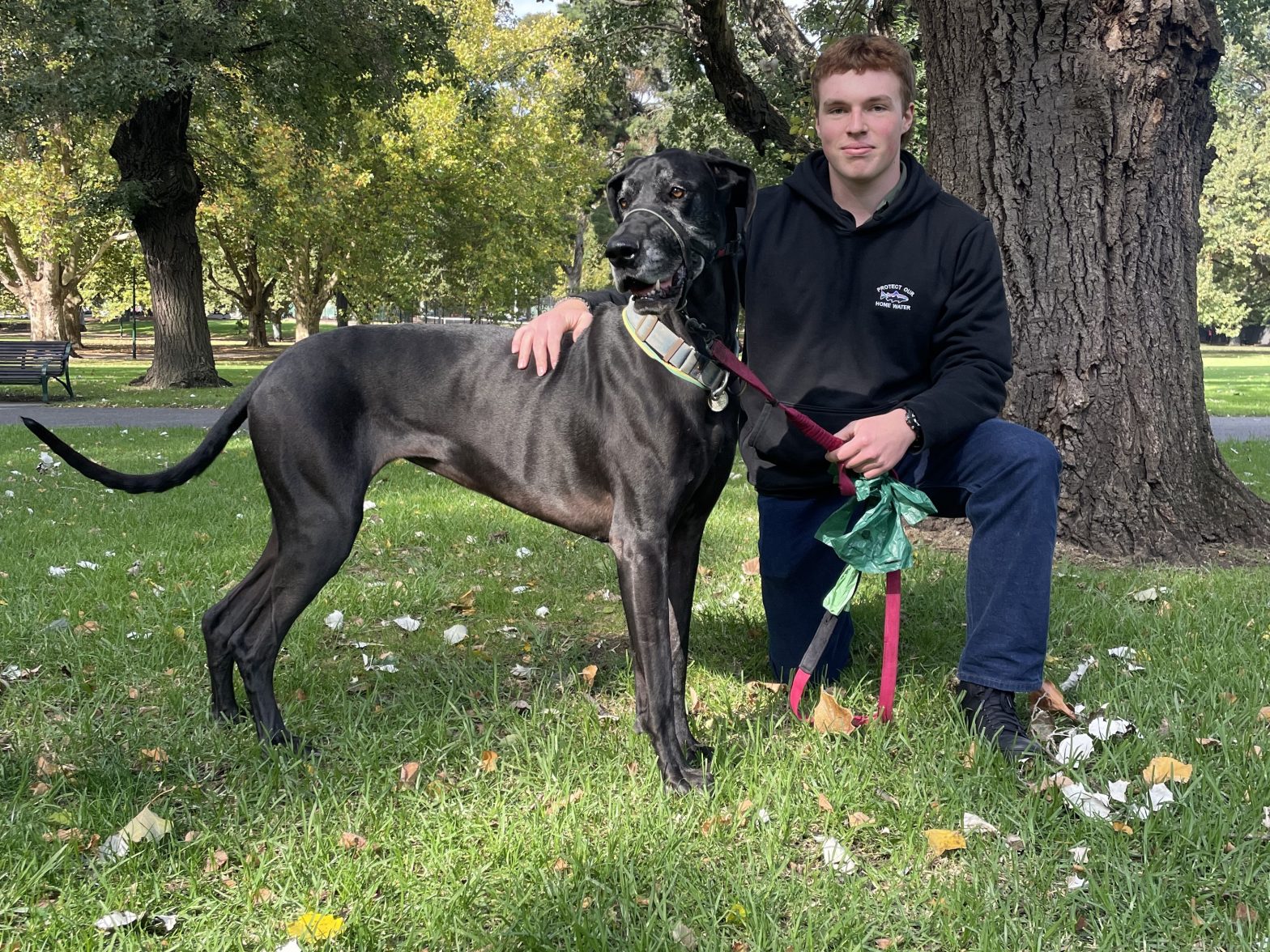 2025-05-09 Harry Cleo | Park Trek Harry & Cleo