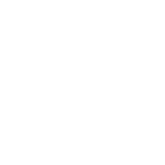 Homestyle White Icon