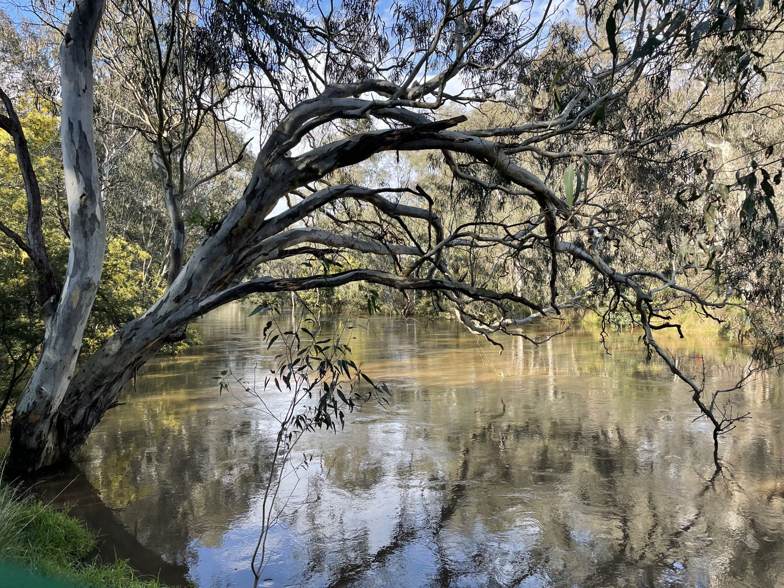 Birrarung Maar The Yarra River near our main office in Melbourne
