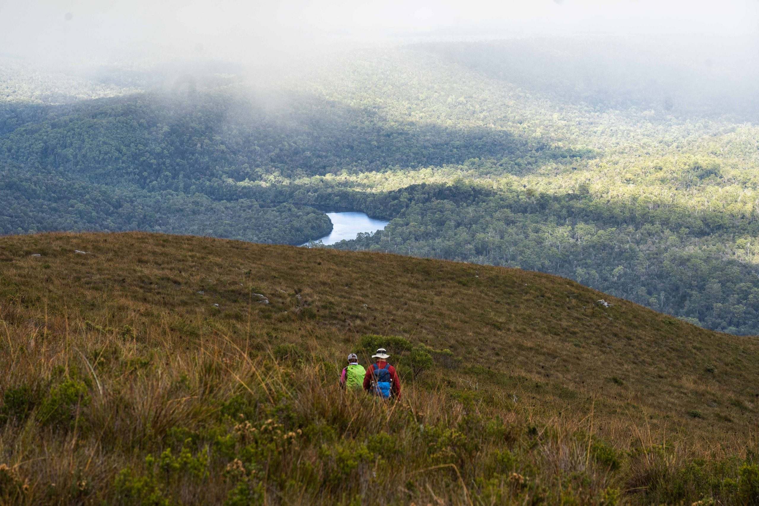 Tarkine Wilderness