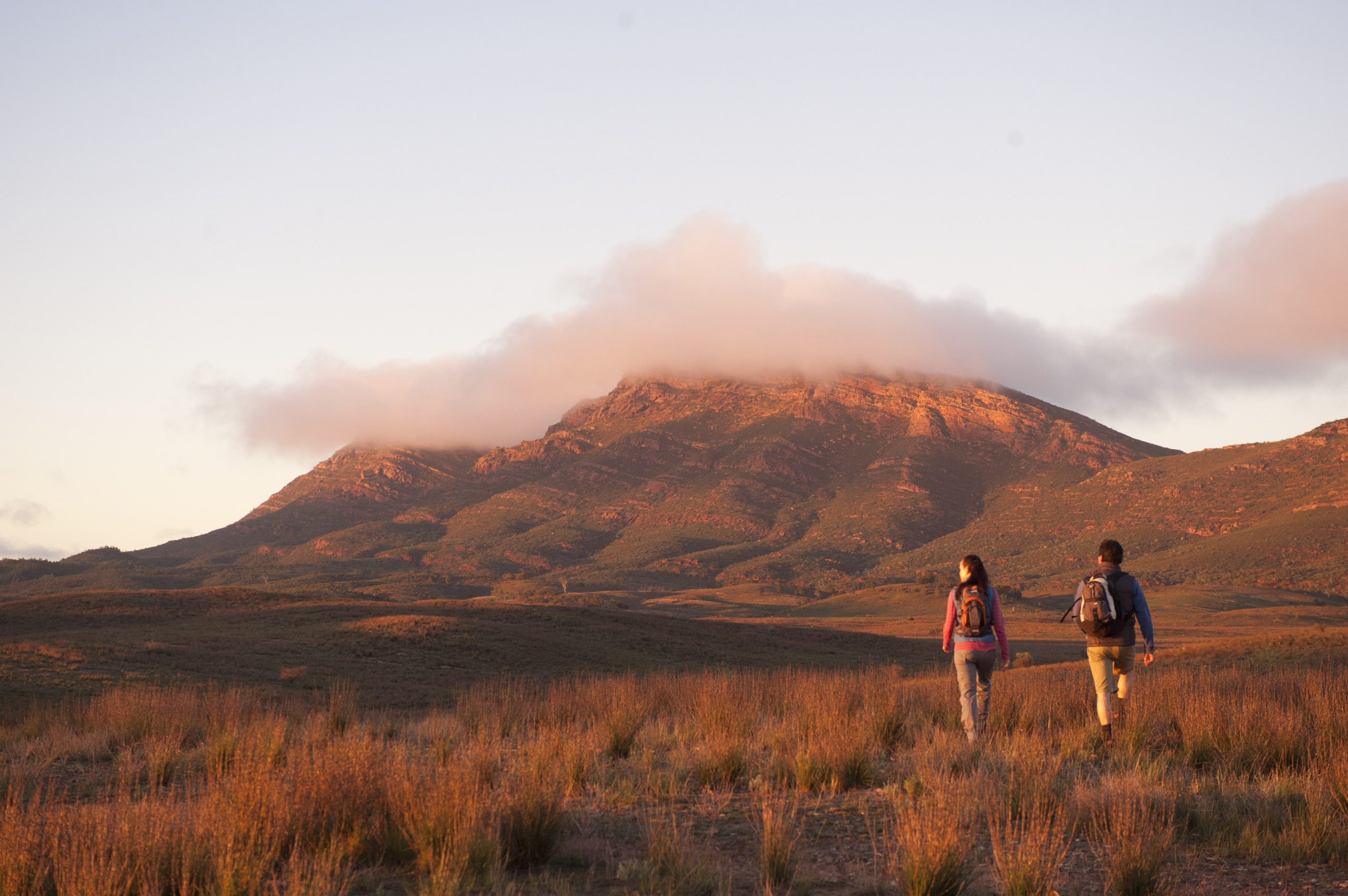 Flinders Ranges Hero Shot